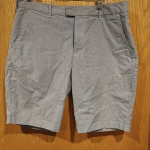Express Gray Flat Front Shorts